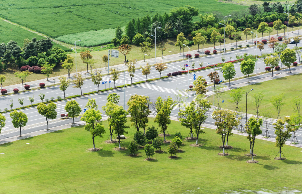 Site Developers in Bangalore